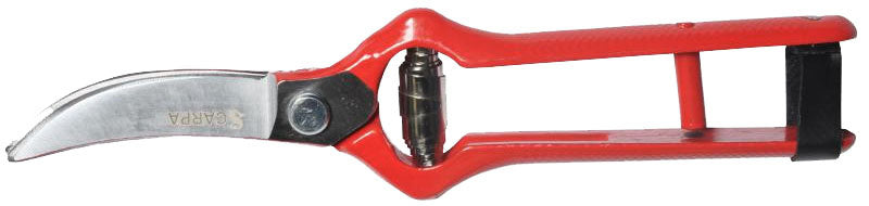 TIJERA CARPA FORJADA P/CORTAR AJOS # 03A19L - 19 CMS.