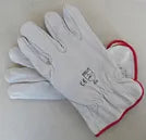 Guante cabritilla gris forrado # 9 (2022f) - GUANTES