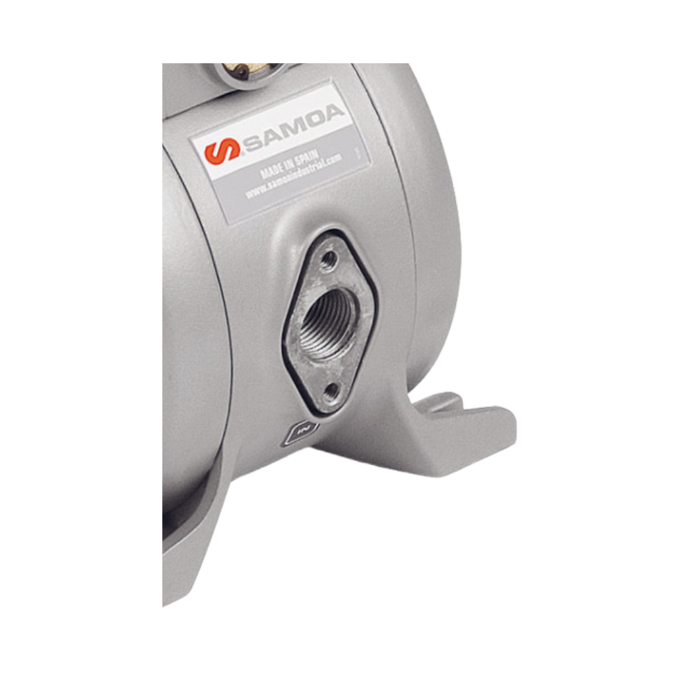 BOMBA NEUMATICA de DIAFRAGMA DF-100 NBR 551030