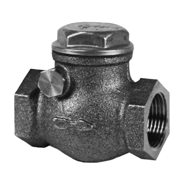 VALVULA RETENCION CHAPALETA 2.1/2