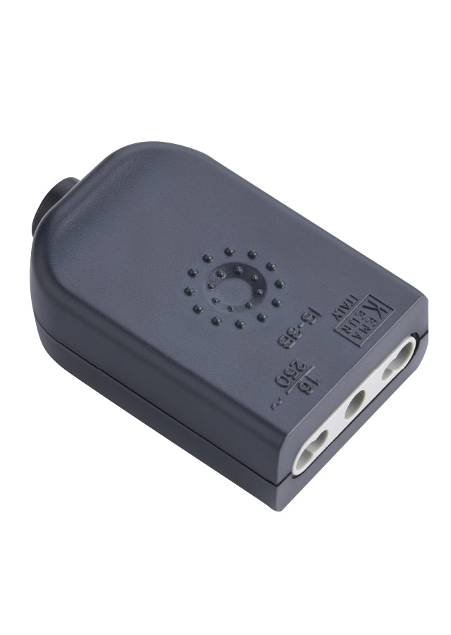 Hembra volante 10A/16A 2P+T Negro
