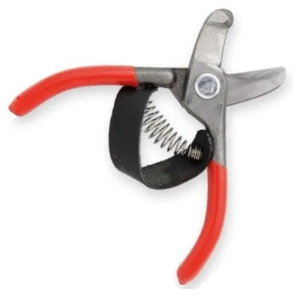 Tijera para cosechar paltas 16 cms. (06e16l) - CARPA