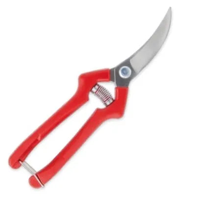 Tijera podar 19 cm. cosecha ajos m/plast (03h19) - CARPA