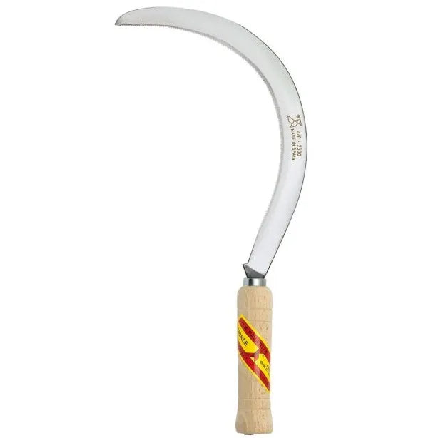 Echona remolachera pulida (1006-4/0) - PAJARITA