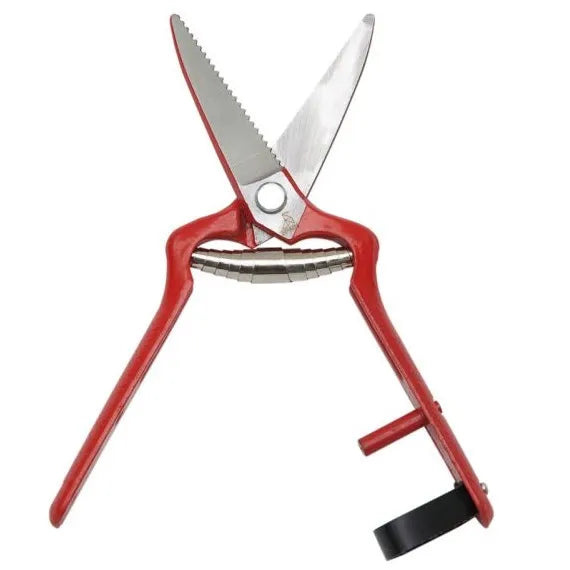 Tijera vendimia recta "la pajarita (1027) - PAJARITA