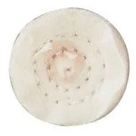 Disco pulidor de tela 25.4 mm. (423) - DREMEL