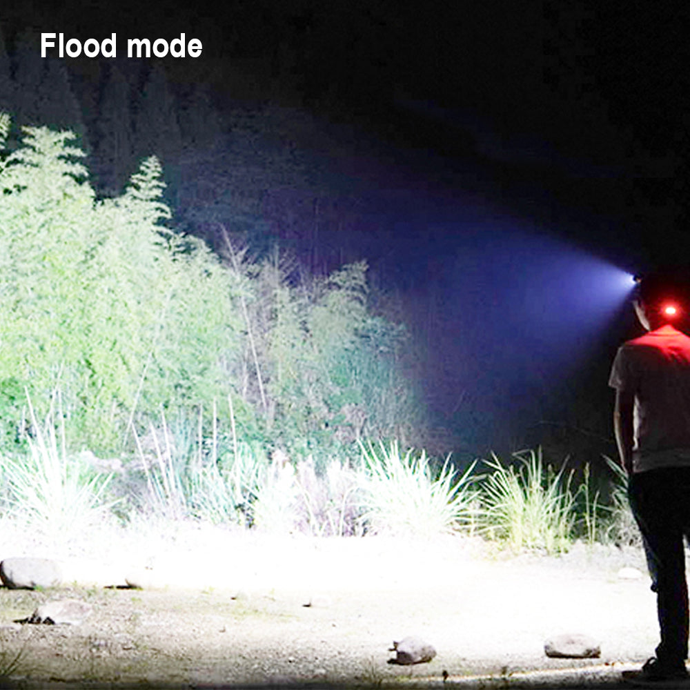 Linterna de cabeza HARDEN