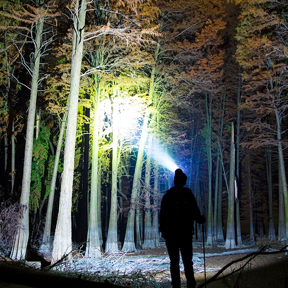 Linterna de cabeza HARDEN