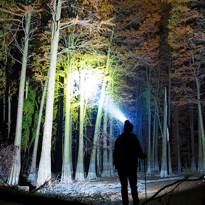 Linterna de cabeza HARDEN