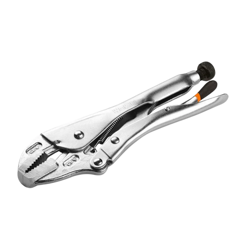 Caimán Boca Curva 10