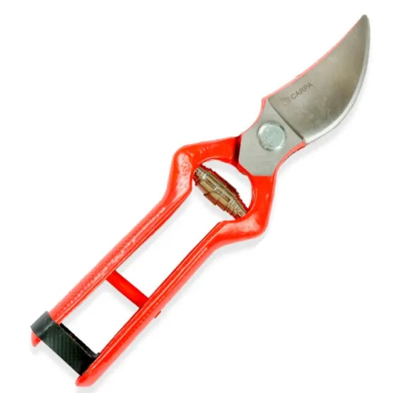 Tijera podar 21 cms. hoja pulida (01a21l) - CARPA