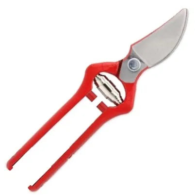 Tijera podar 21 cms. hoja pulida (04g21v) - CARPA