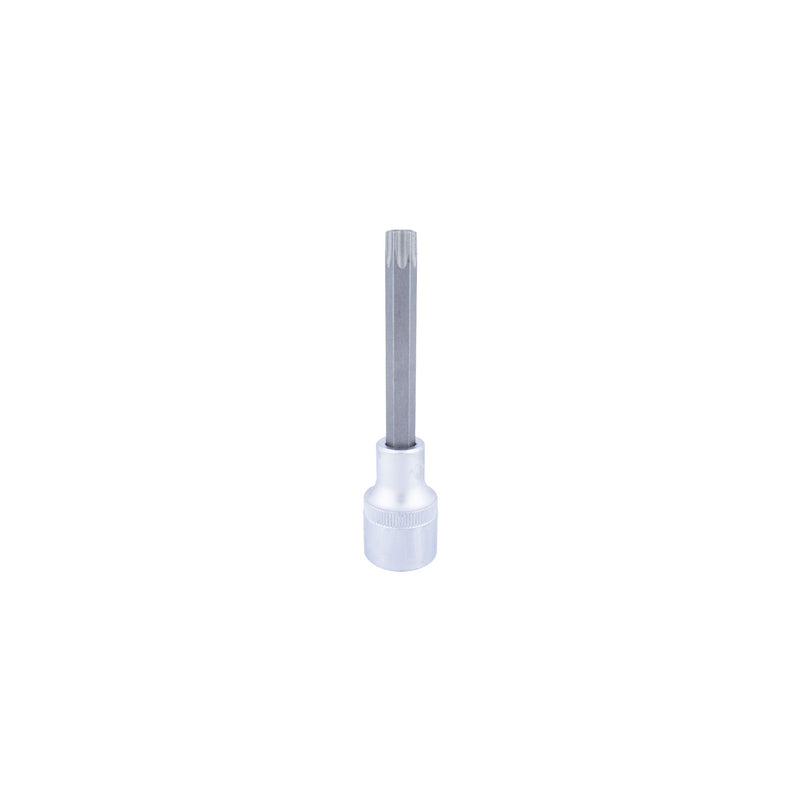 DADO TORX LARGO CUADRANTE 1/2