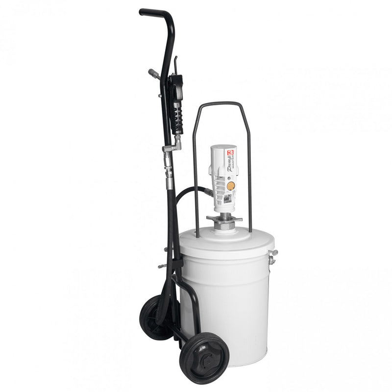 EQUIPO NEUMATICO ENGRASE 20 Kg 424152