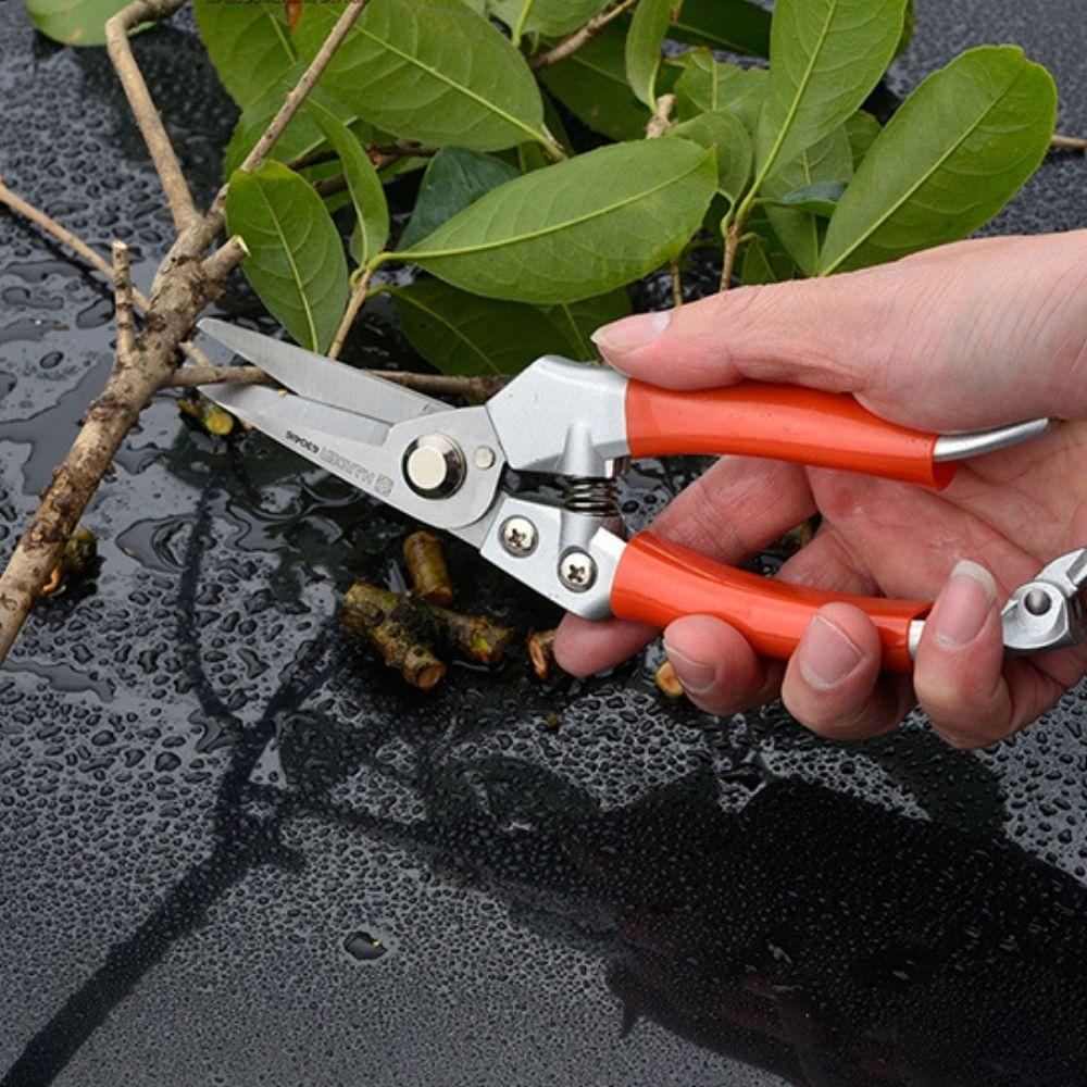 Tijera para frutas 8 acero inoxidable Harden